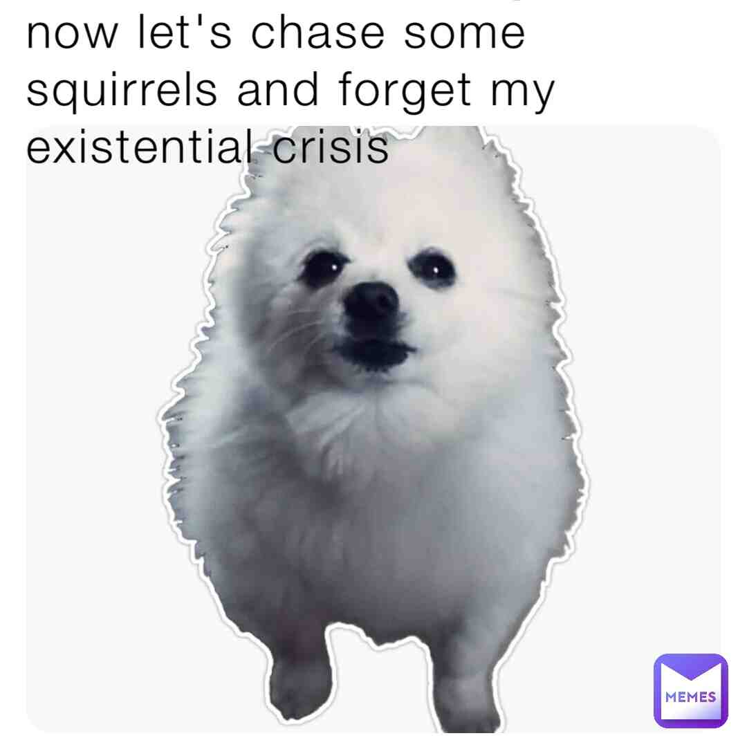 #gabethedog