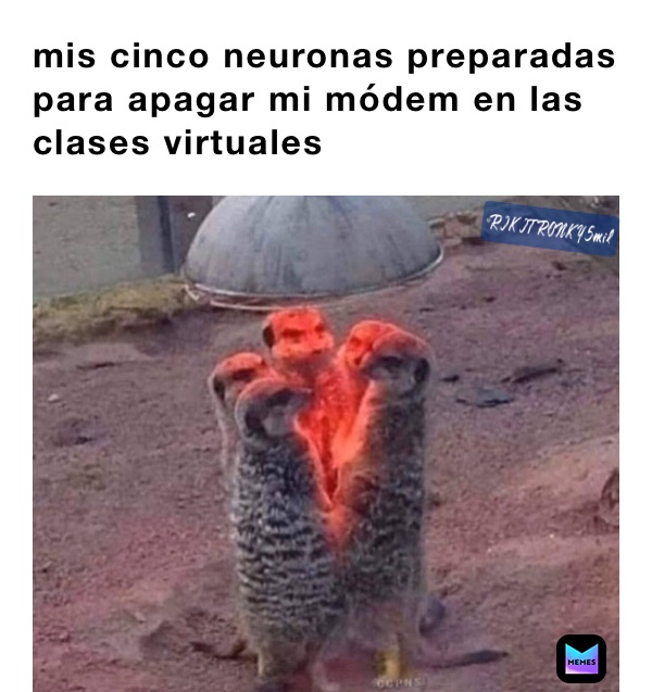 mis cinco neuronas preparadas para apagar mi módem en las clases virtuales 