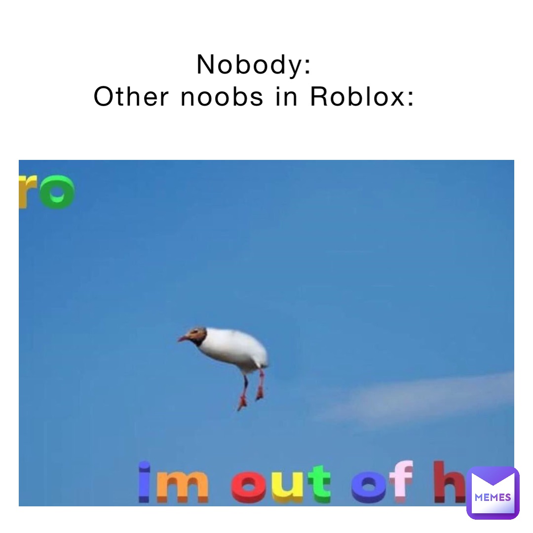 Nobody:
Other noobs in Roblox: