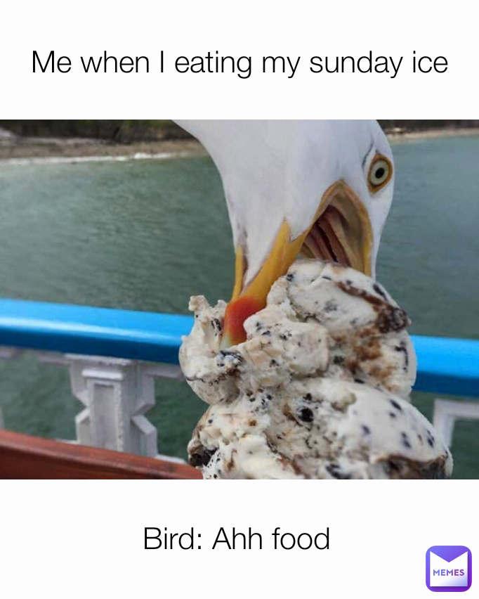 Me when I eating my sunday ice Bird: Ahh food