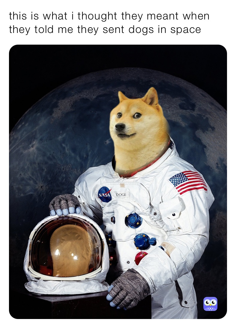 this is what i thought they meant when they told me they sent dogs in space