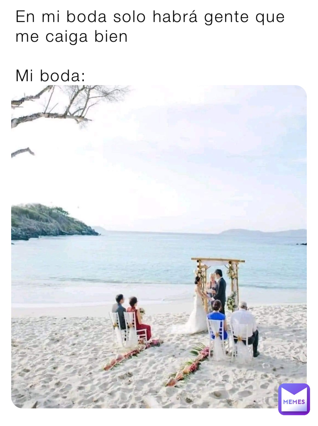 En mi boda solo habrá gente que me caiga bien

Mi boda: