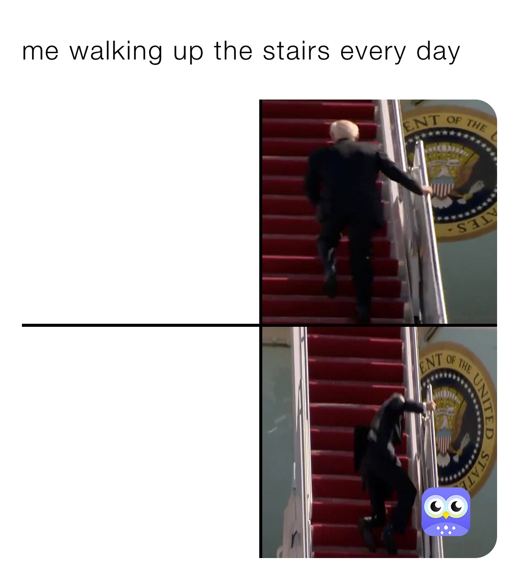 me walking up the stairs every day
