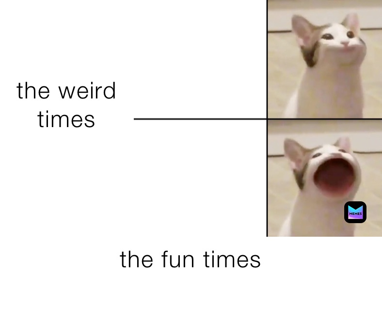 the weird times
 the fun times
