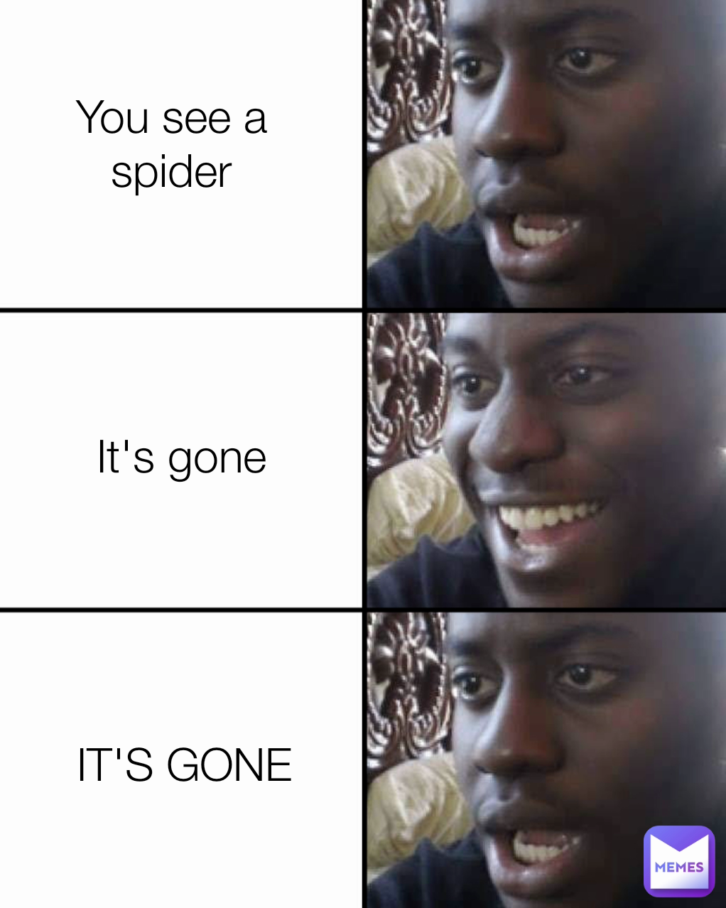 It's gone You see a spider IT'S GONE