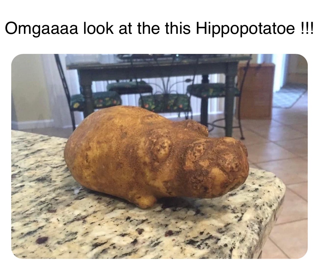Double tap to edit Omgaaaa look at the this Hippopotatoe !!!