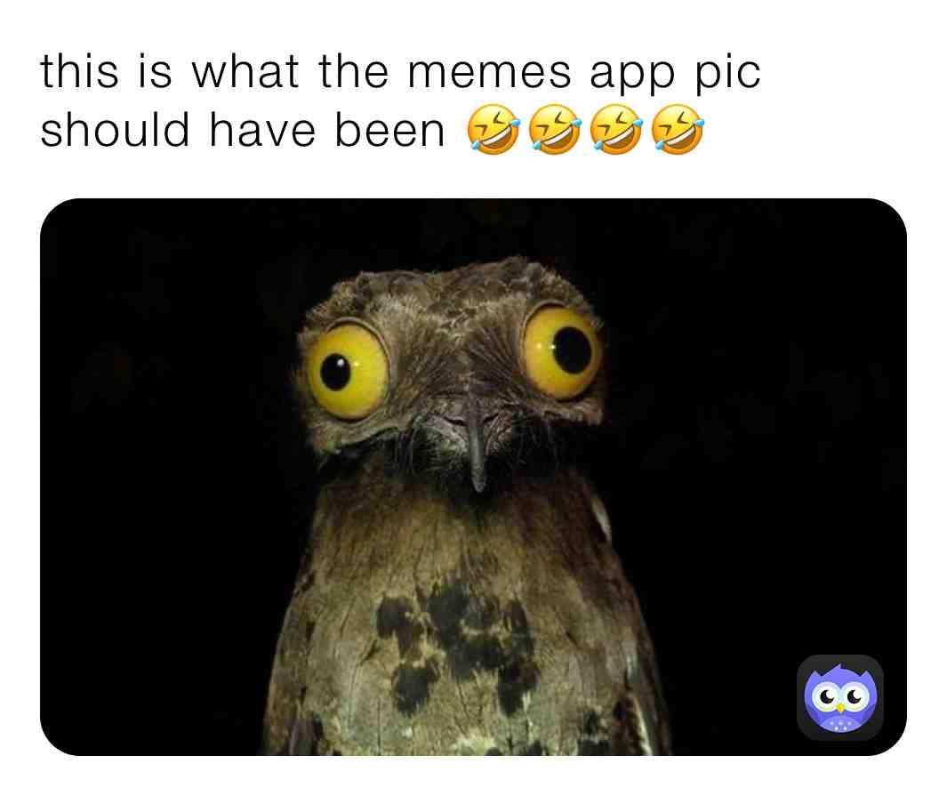 Meme shared by @nameless_cool_kid