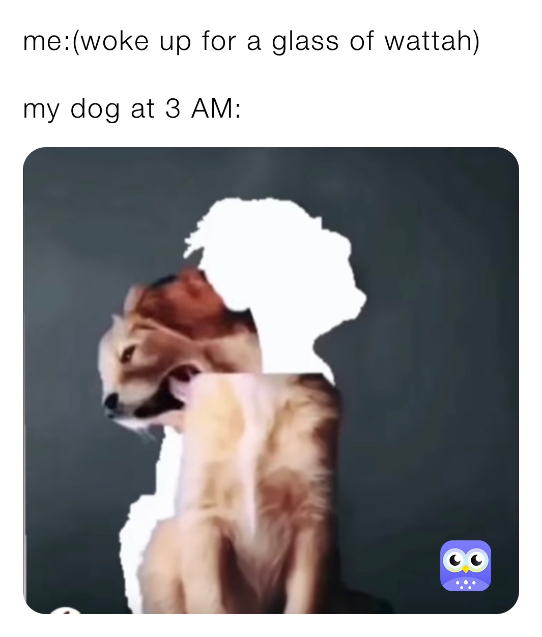 Meme by firdaus1606201075