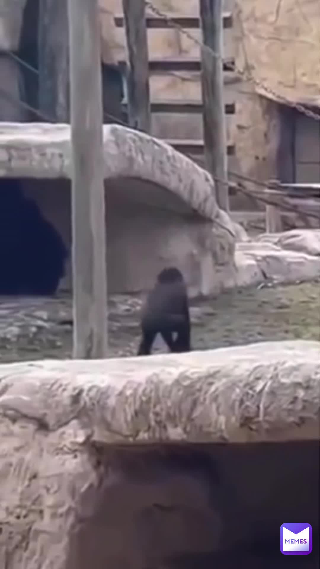 Gotta love animals