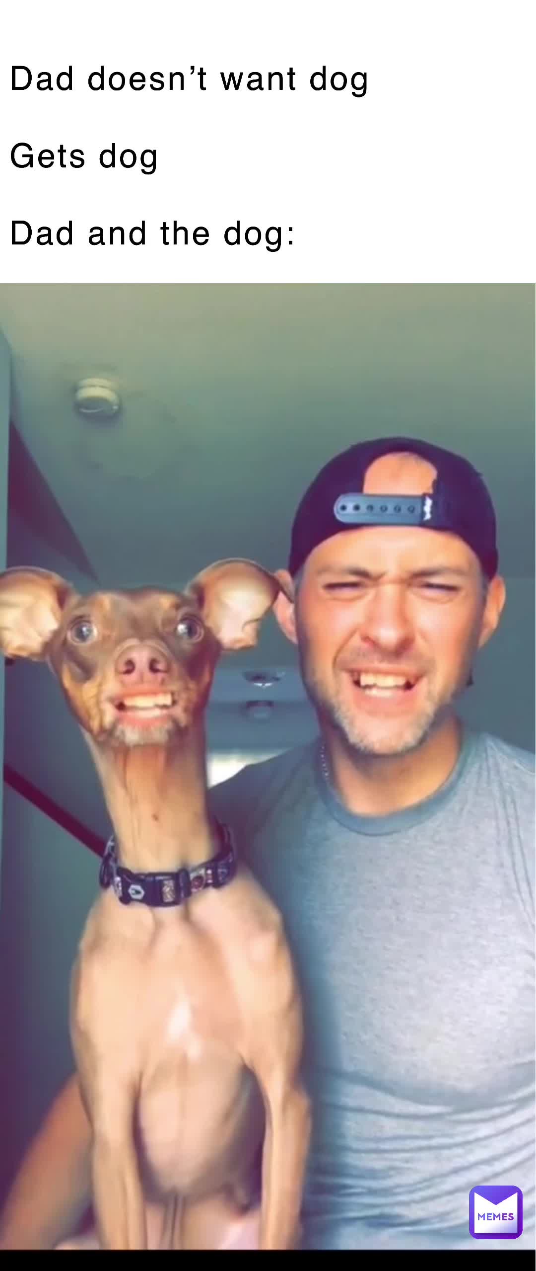Meme shared by @lord_MEMEoo