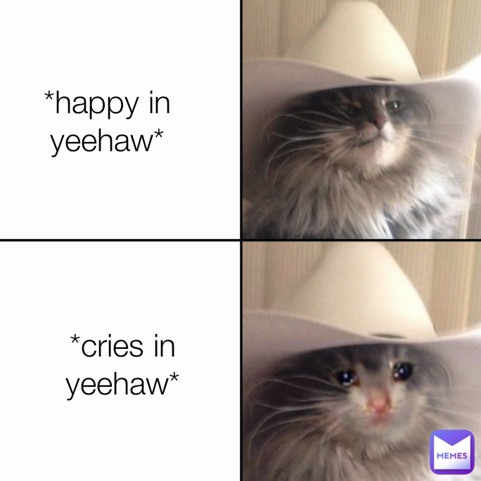 *happy in yeehaw* *cries in yeehaw*