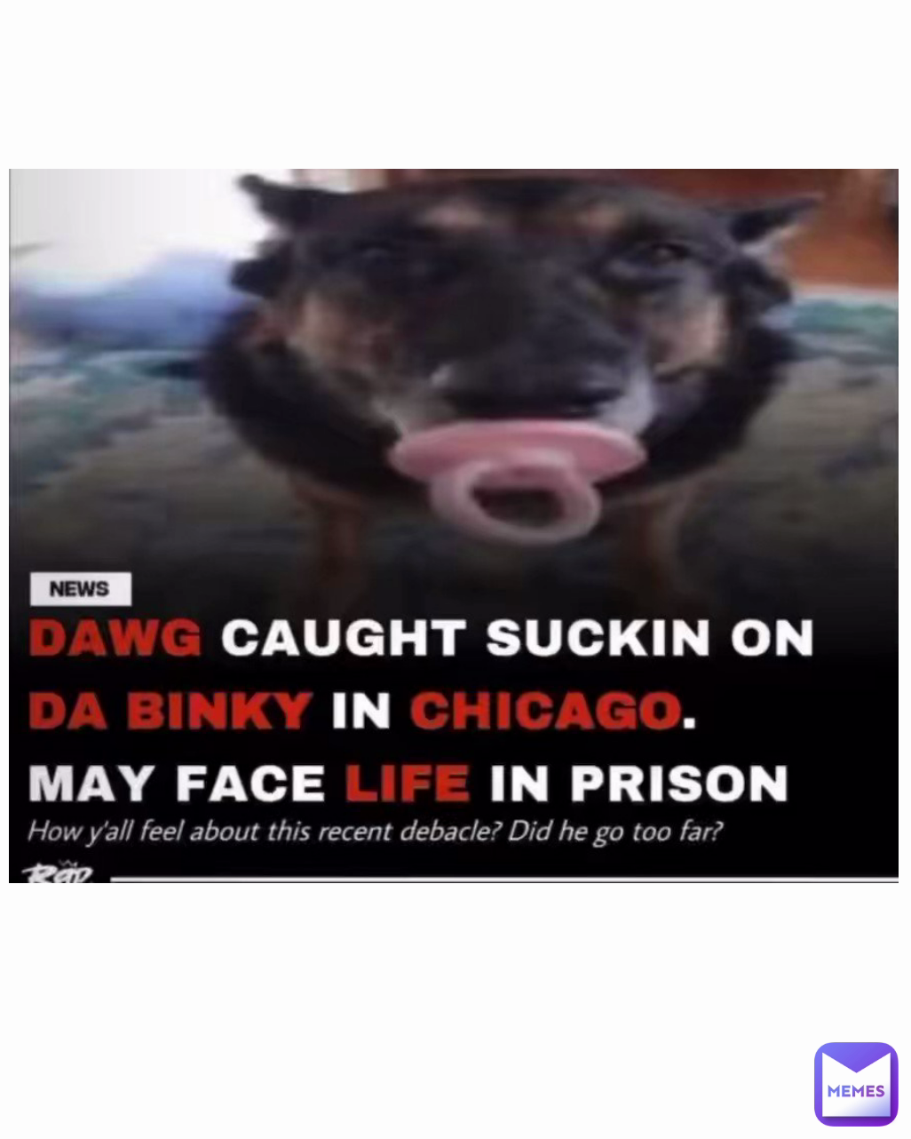 Post by notflingy memes