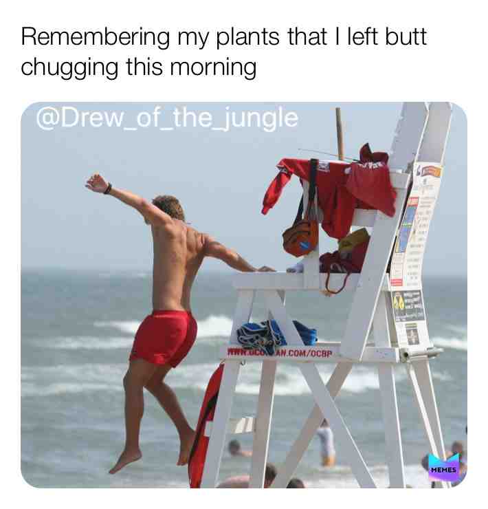 #buttchug #plantcare #plants #houseplants #plantmeme #plantmemes @drew_of_the_jungle #plantdaddy