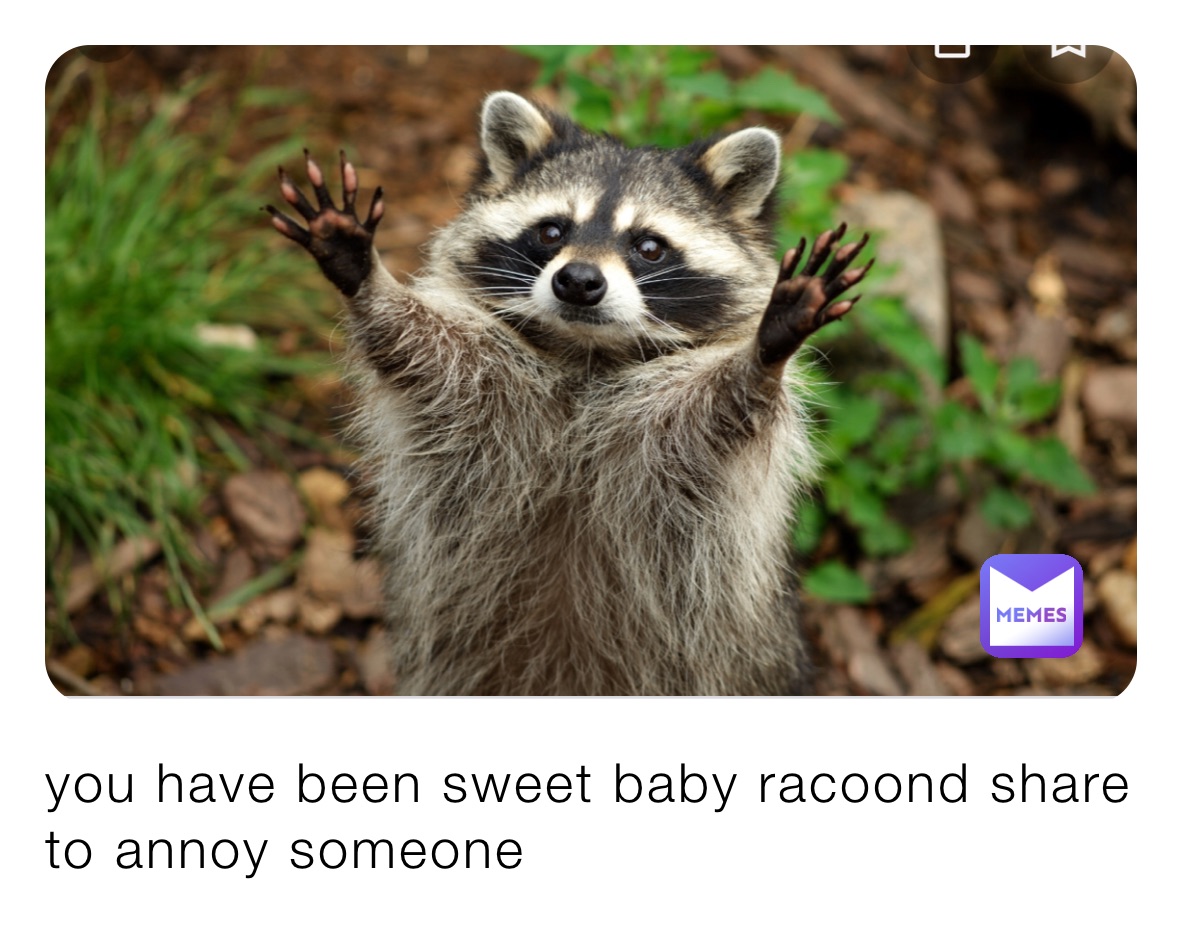 Meme by big_glizzy_man69