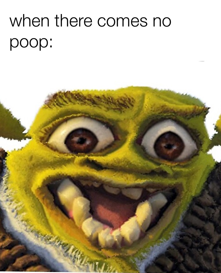 Shrek meme 🤠  Shrek funny, Shrek memes, Shrek