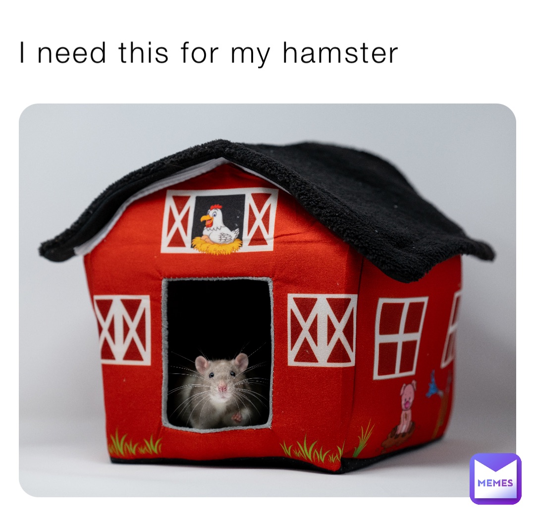 I need this for my hamster