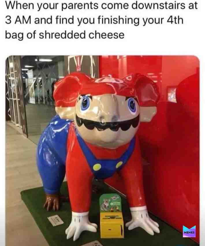 Meme shared by @okino_26.