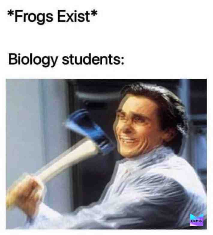 Meme shared by @okino_26.