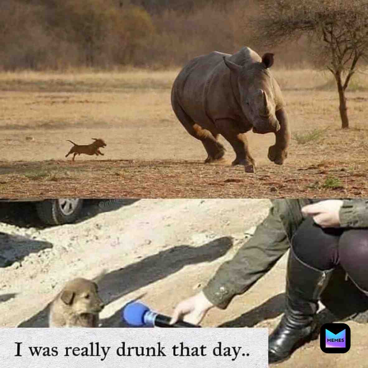 Meme shared by @okino_26.