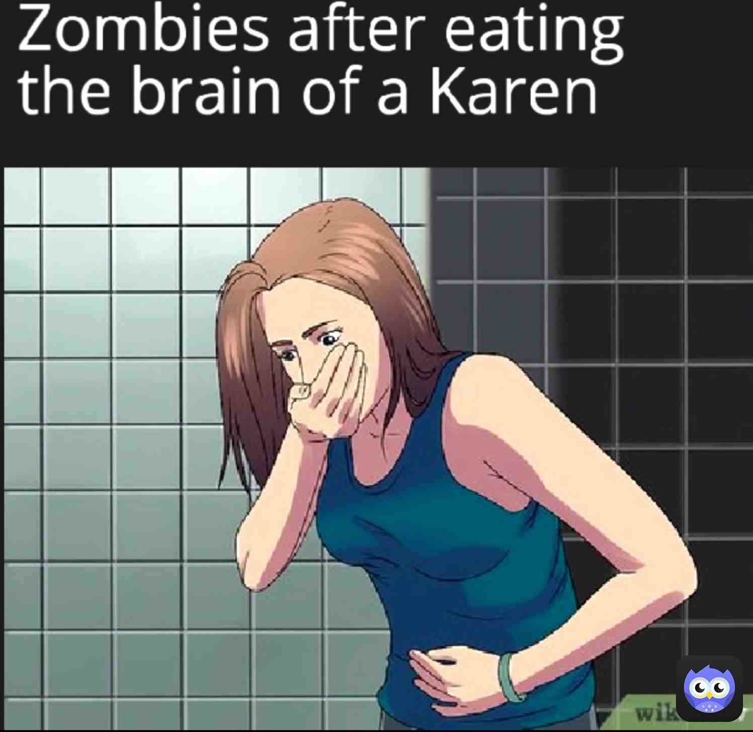 Meme shared by @okino_26.