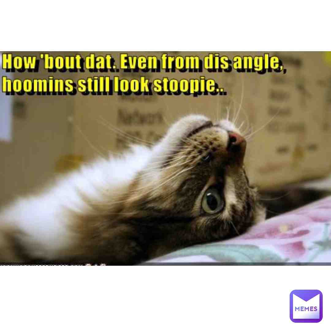 Meme shared by @okino_26.