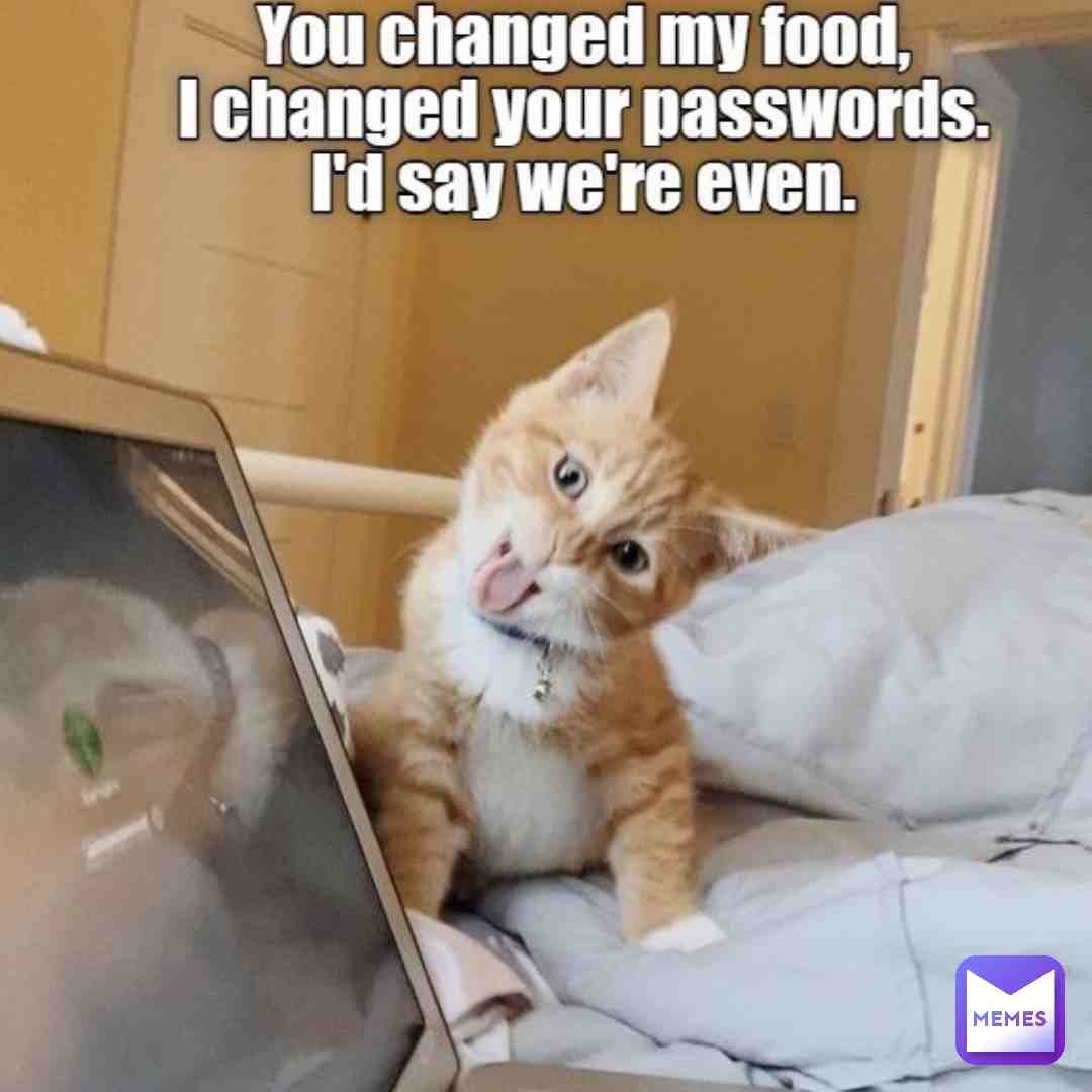 Meme shared by @okino_26.