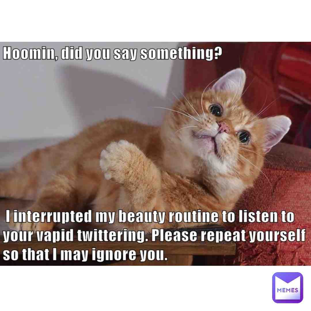 Meme shared by @okino_26.