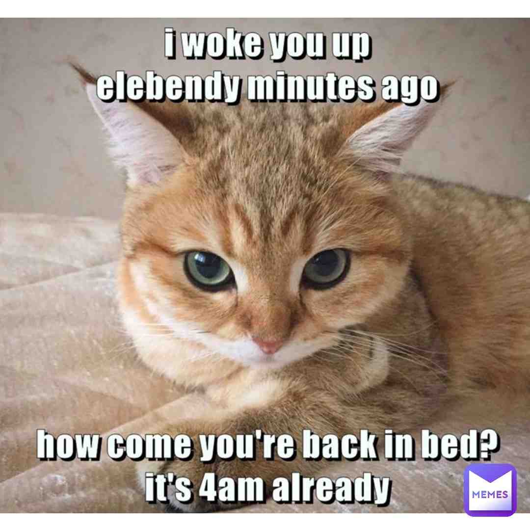 Meme shared by @okino_26.