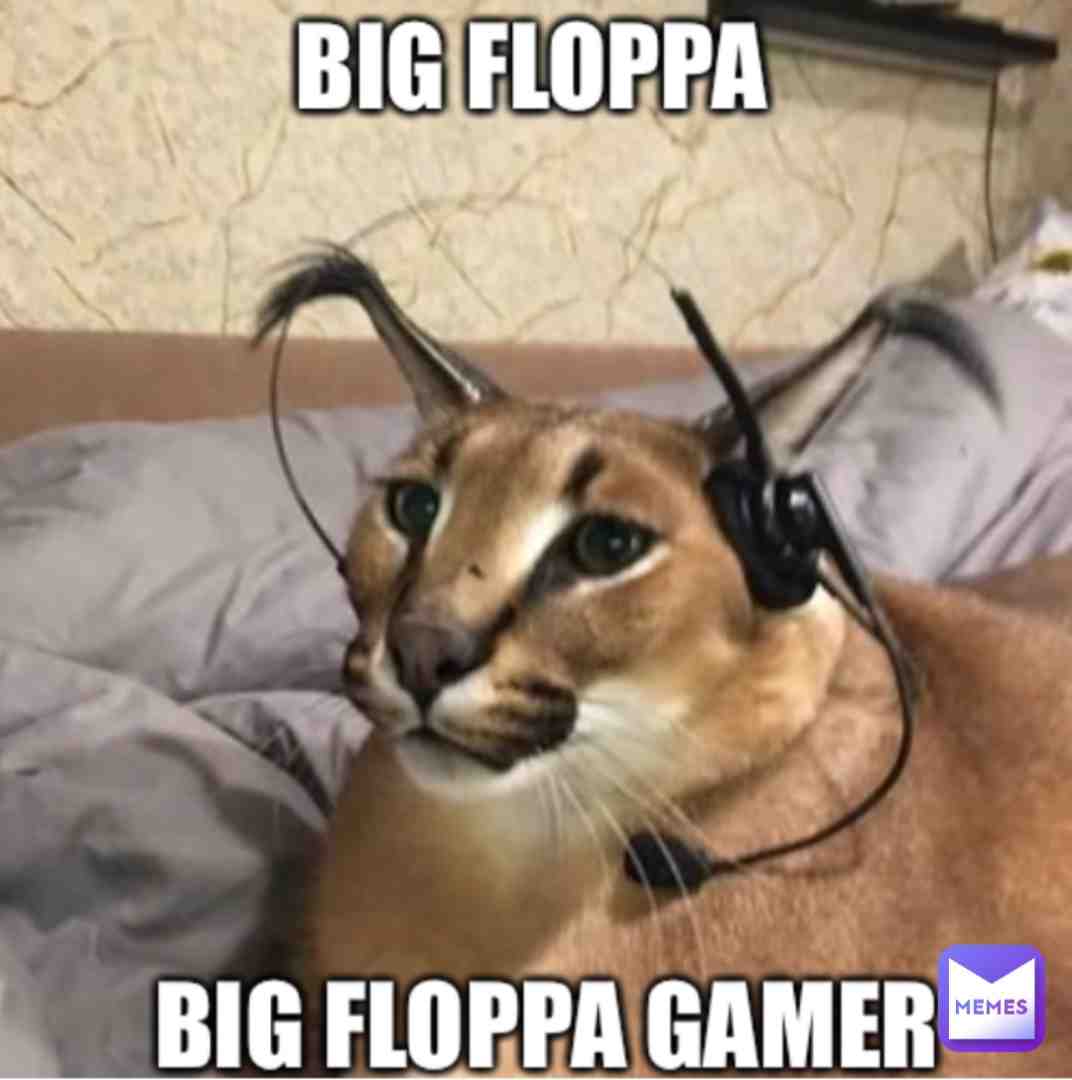 Meme shared by @okino_26.