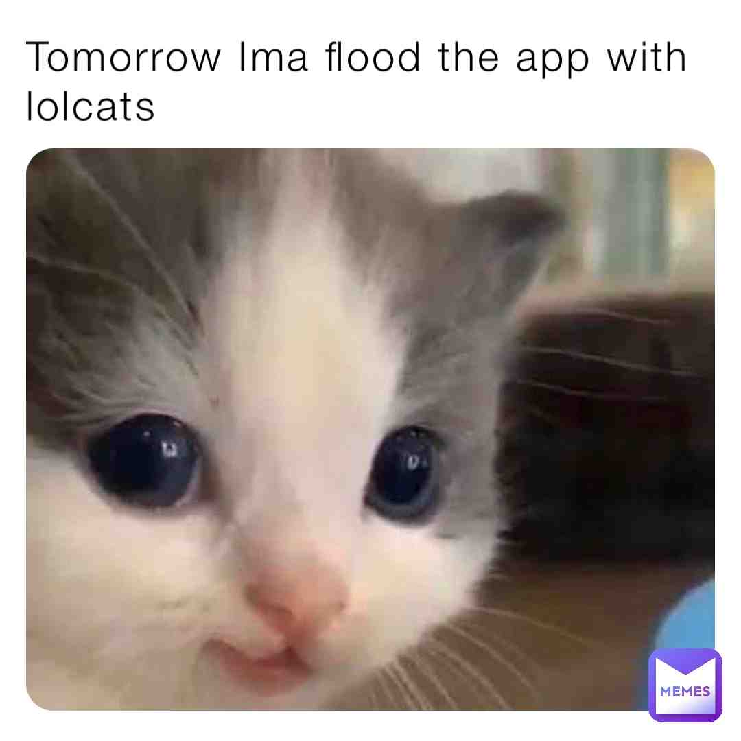 Meme shared by @okino_26.