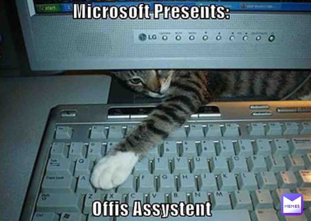 Meme shared by @okino_26.
