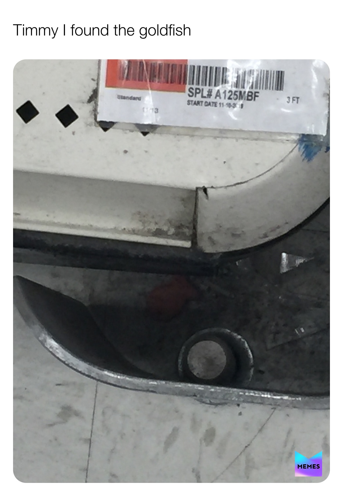 Meme by mememaster762