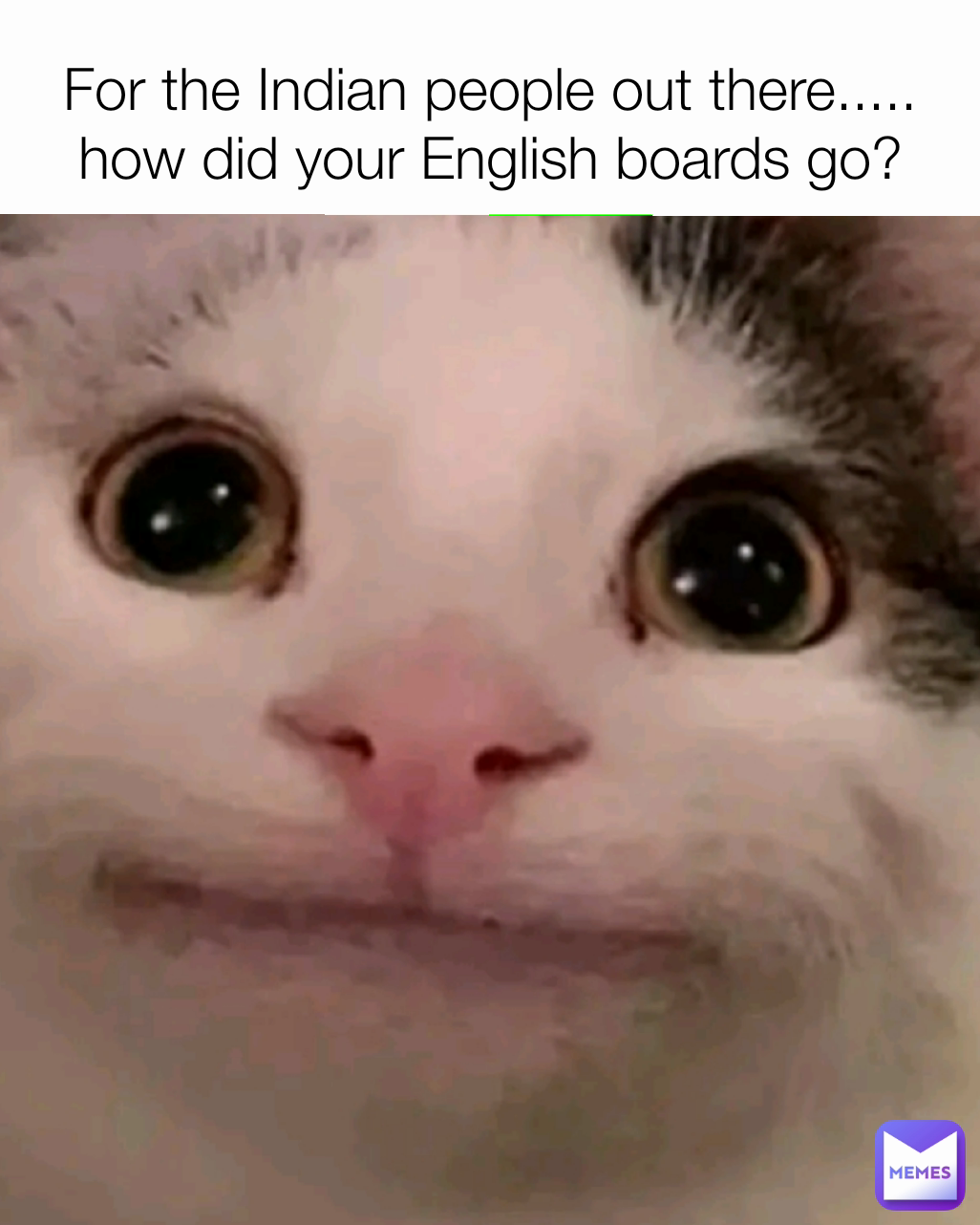 For the Indian people out there..... how did your English boards go?