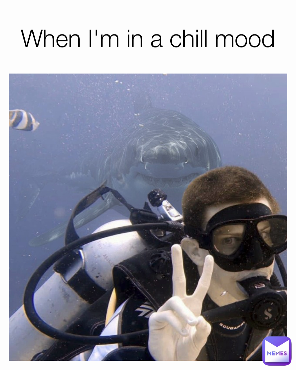 Meme by yourlaughingbird