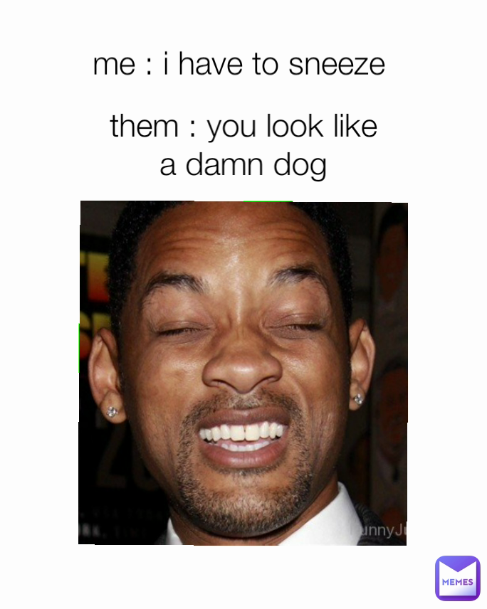 me : i have to sneeze  them : you look like a damn dog