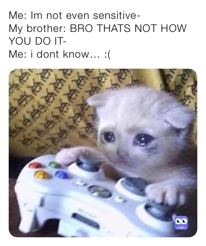 Me: Im not even sensitive-
My brother: BRO THATS NOT HOW YOU DO IT-
Me: i dont know… :(