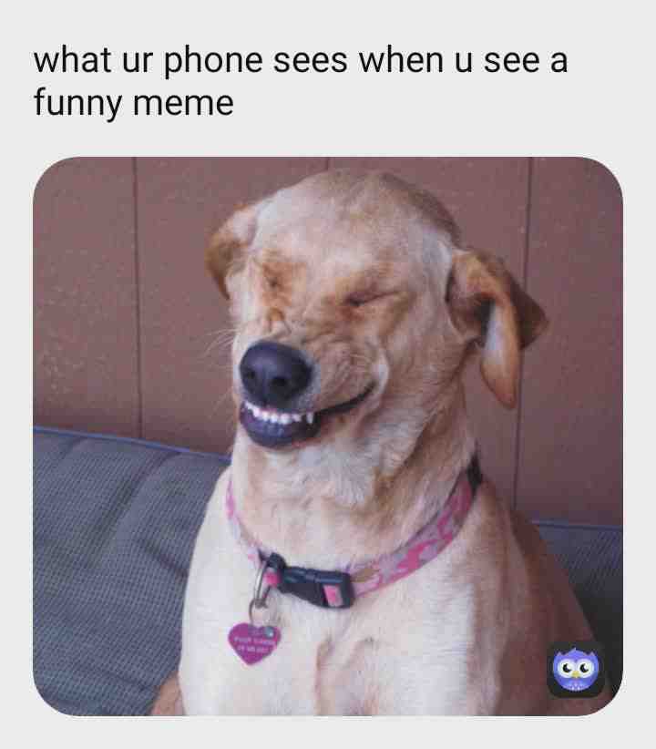 Lol
