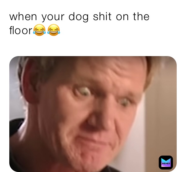 when your dog shit on the floor😂😂
