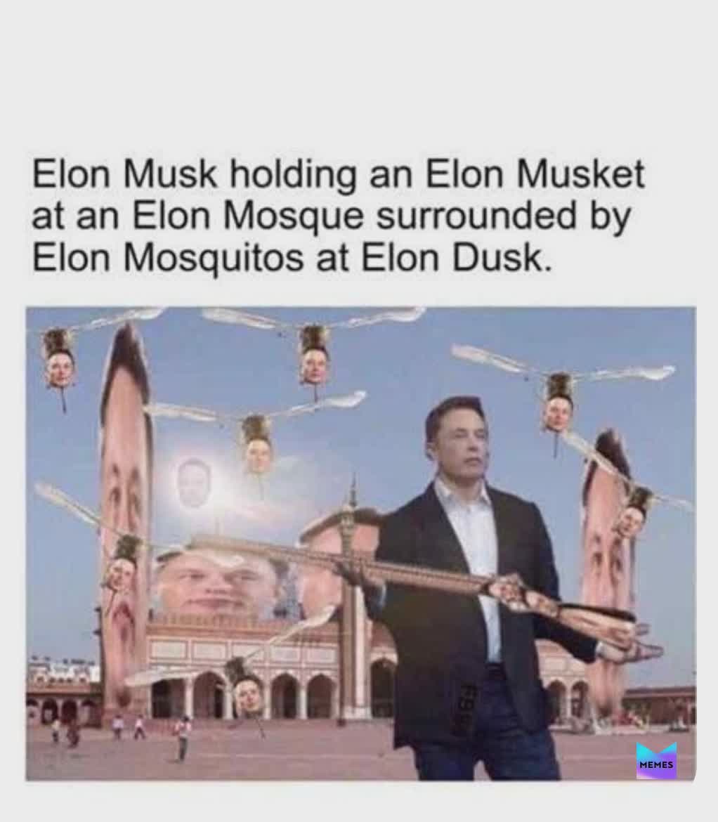 Meme by Elon.musket