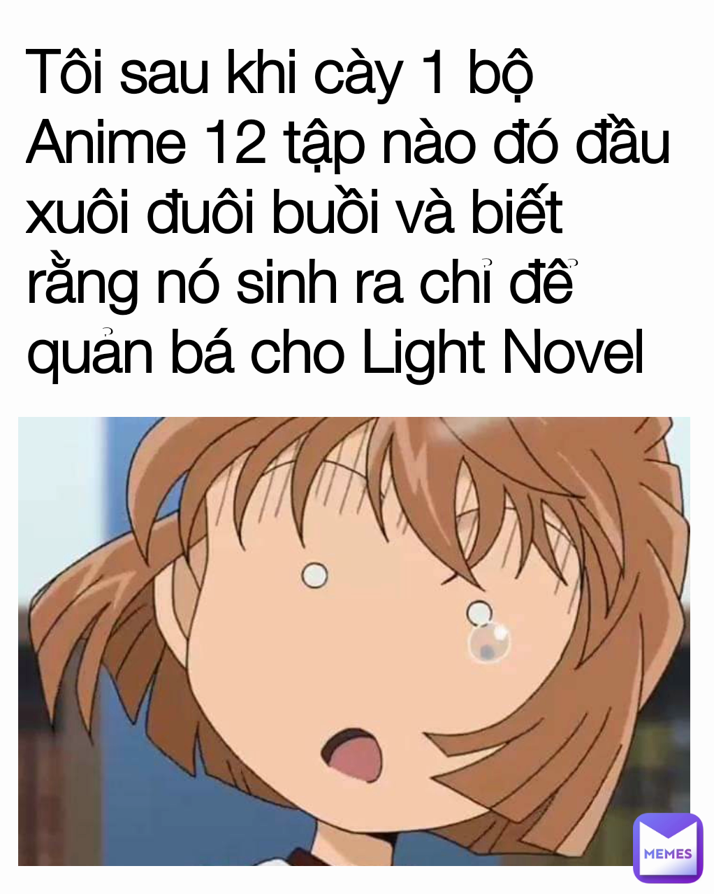 Tôi sau khi cày 1 bộ Anime 12 tập nào đó đầu xuôi đuôi buồi và biết rằng nó sinh ra chỉ để quản bá cho Light Novel