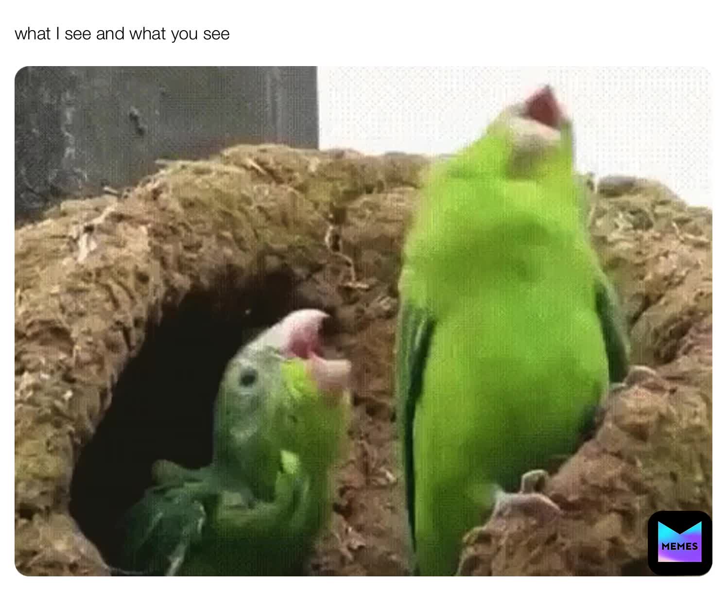 Meme shared by @dman1010
