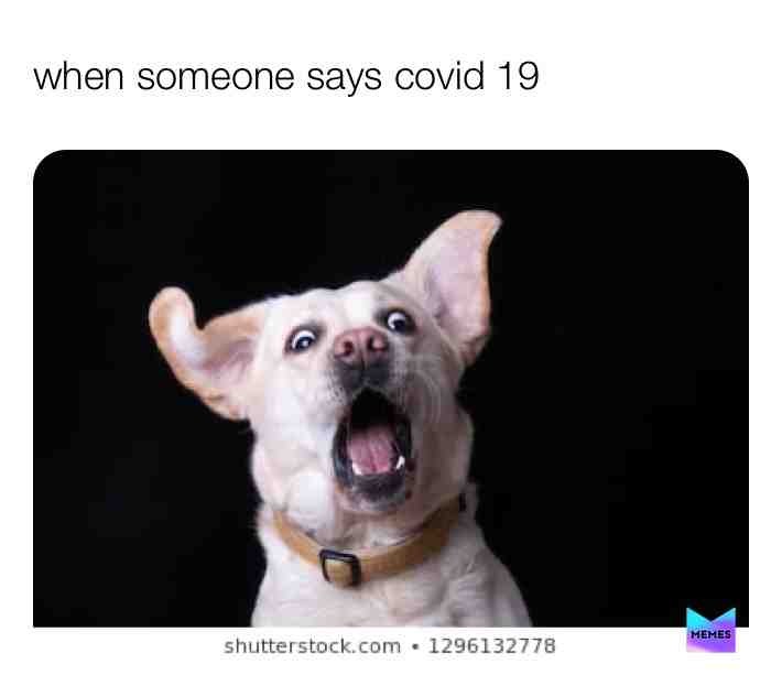 #caronavirus  #covid19  #startled  another meme just for you guys