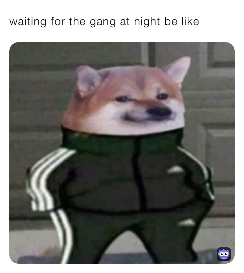 waiting for the gang at night be like 