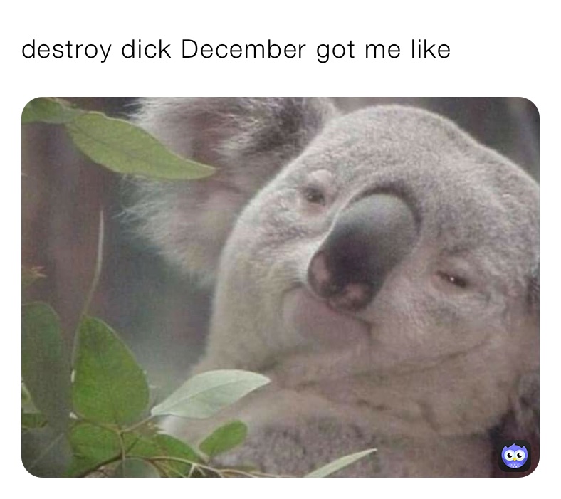 destroy dick December got me like 