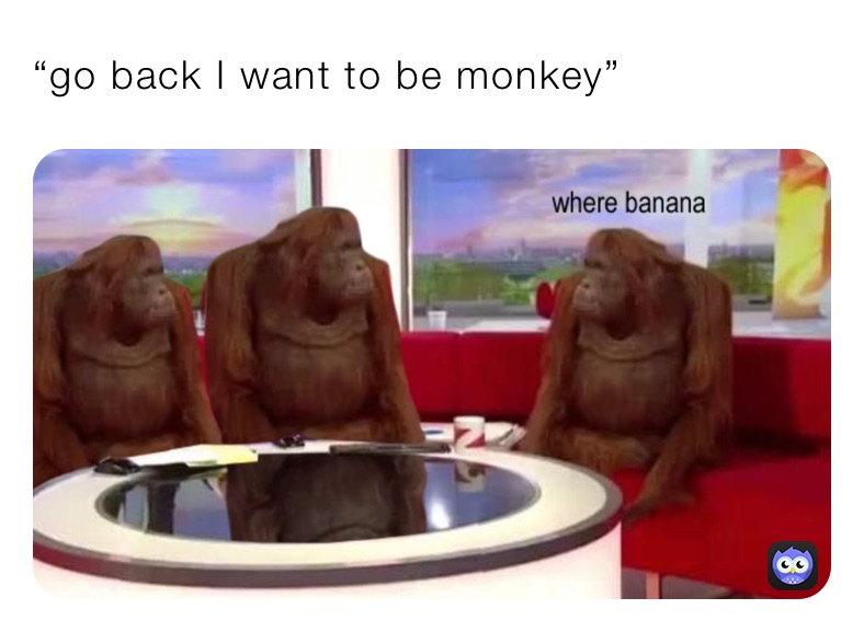 “go back I want to be monkey” 