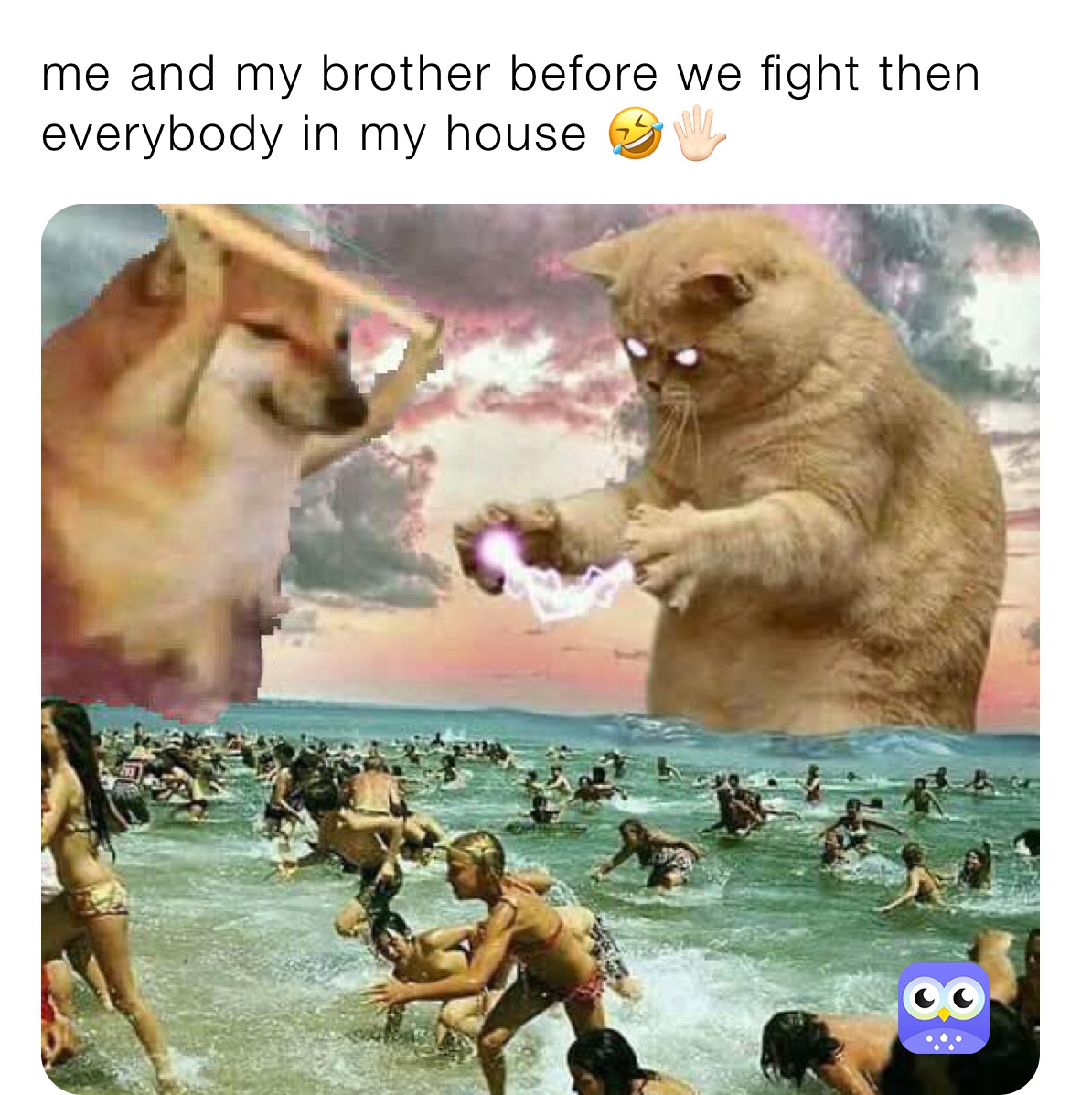 me and my brother before we fight then everybody in my house 🤣🖐🏻