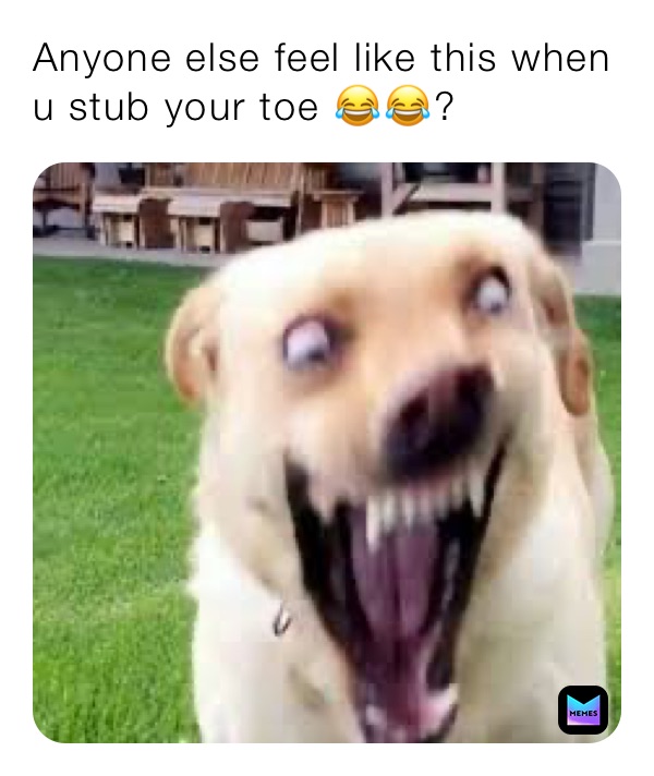 Anyone else feel like this when u stub your toe 😂😂? 
