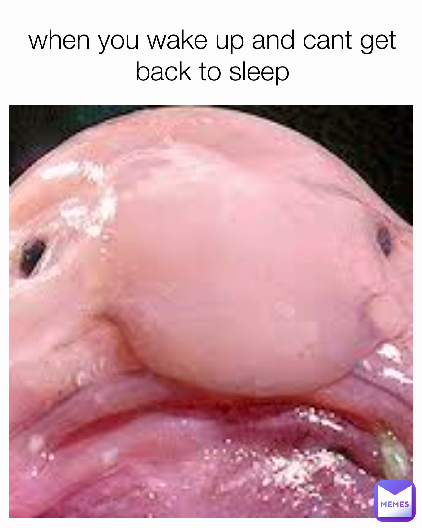 Meme by 69mastersucker