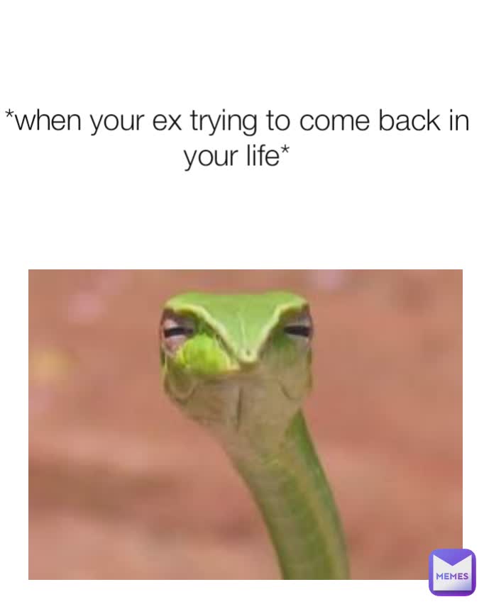 *when your ex trying to come back in your life*