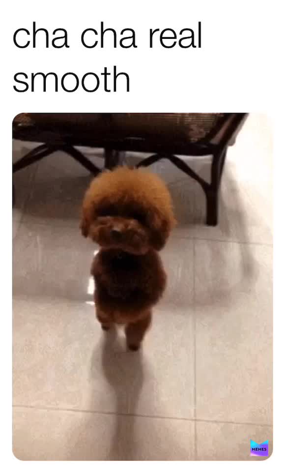 Cha cha